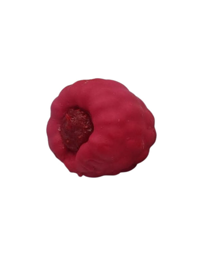 Trompe l'oeil Framboise
